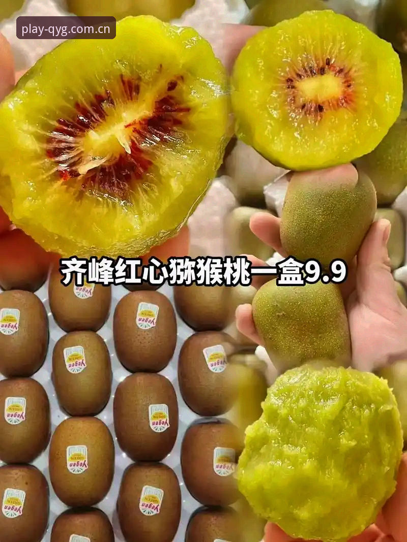 奇异果体育安装包全面解析：从下载到高清直播的实战指南