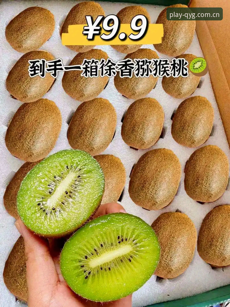 奇异果体育app下载官方下载vs第三方渠道：哪个更值得信赖？全面对比分析